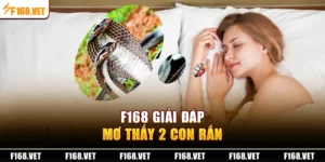 giải đáp mơ thấy 2 con rắn