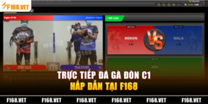 Đá Gà Đòn C1 - Tham Gia Sảnh Cược Chất Lượng Tại F168