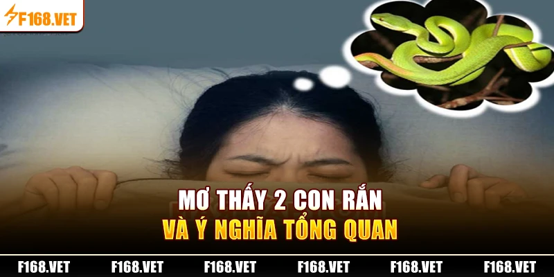 Mơ thấy 2 con rắn và ý nghĩa tổng quan