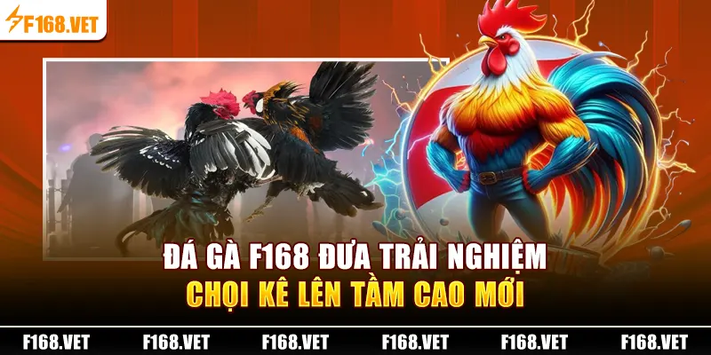 Đá Gà F168 đưa trải nghiệm chọi kê lên tầm cao mới 