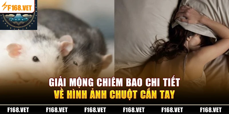 Giải mộng chiêm bao chi tiết về hình ảnh chuột cắn tay