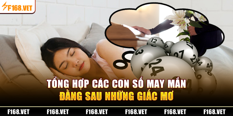 Tổng hợp các con số may mắn đằng sau những giấc mơ